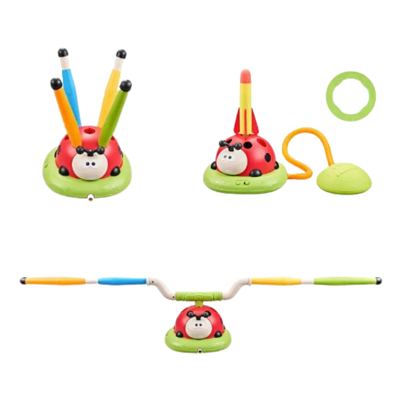 Colorful ladybug-themed toy set with sticks and rings on a white background